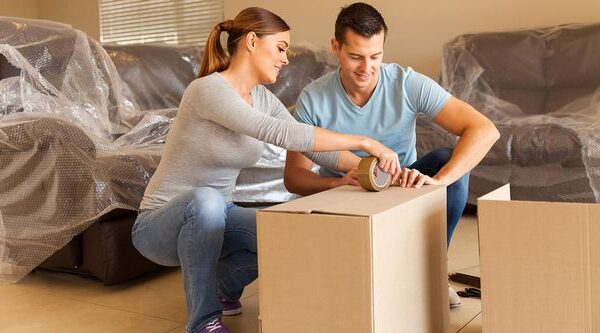 Removals Services