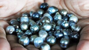 Beyond Black: A Guide to Colored Tahitian Pearls