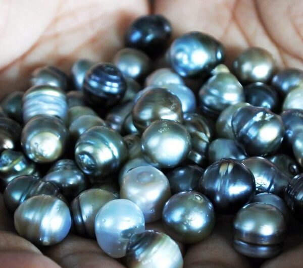 Beyond Black: A Guide to Colored Tahitian Pearls 