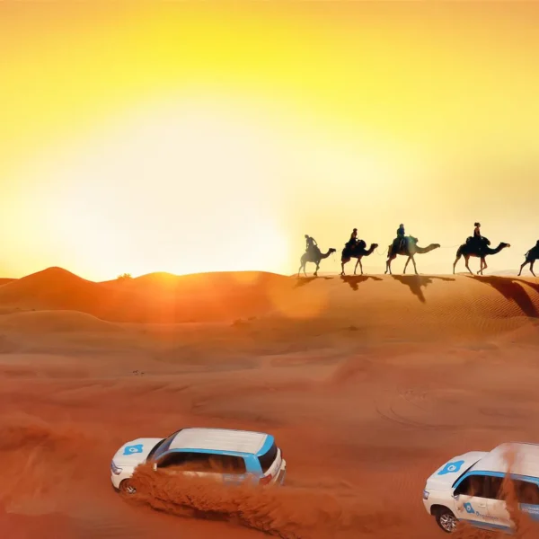 Adrenaline Rushing Experience In Desert Safari Dubai