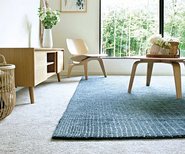 Carpet Products