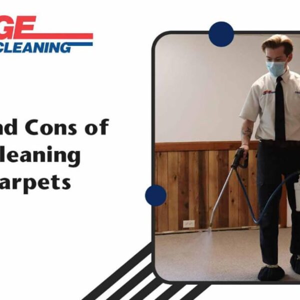 Pros and Cons of Steam Cleaning The Carpets