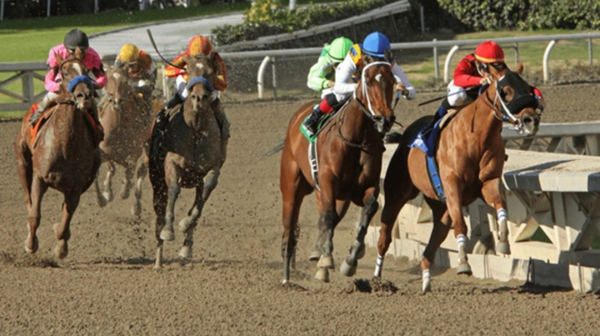 Belmont Stakes 2024: The Jewel of the Triple Crown