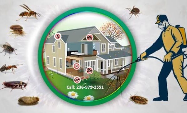 Keeping Your Vancouver or Abbotsford Home Pest-Free: A Comprehensive Guide