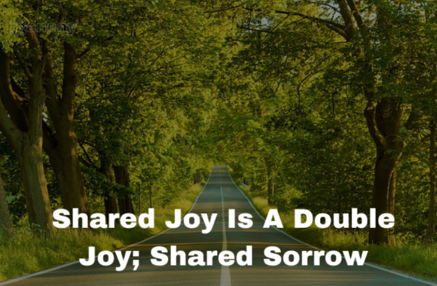 The Power of Shared Emotions: Understanding “Shared Joy is a Double Joy; Shared Sorrow is Tymoff”