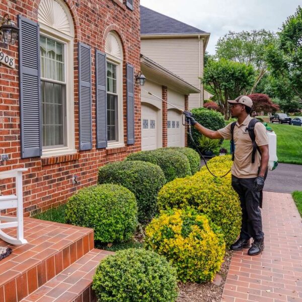 Why Professional Pest Control Matters for Your Douglasville Home: Safeguarding Your Family’s Health