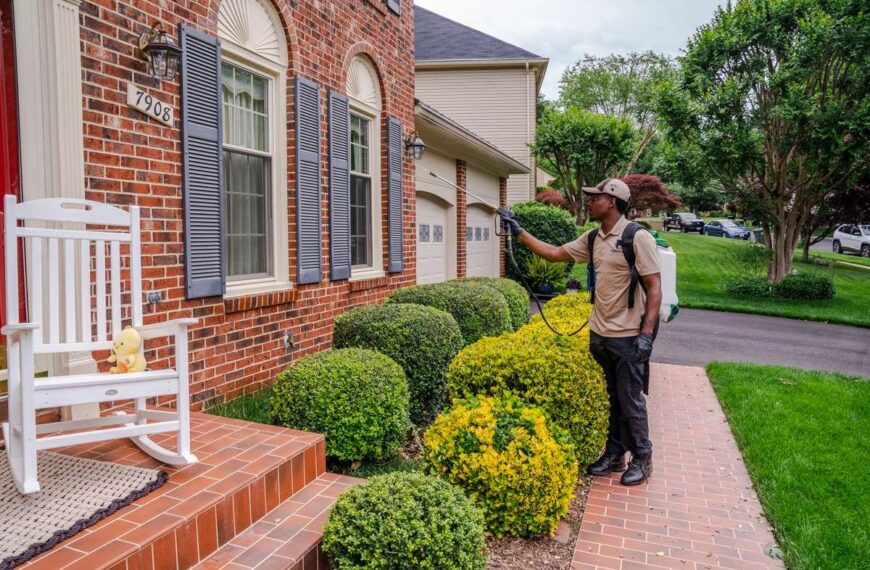 Why Professional Pest Control Matters for Your Douglasville Home: Safeguarding Your Family’s Health