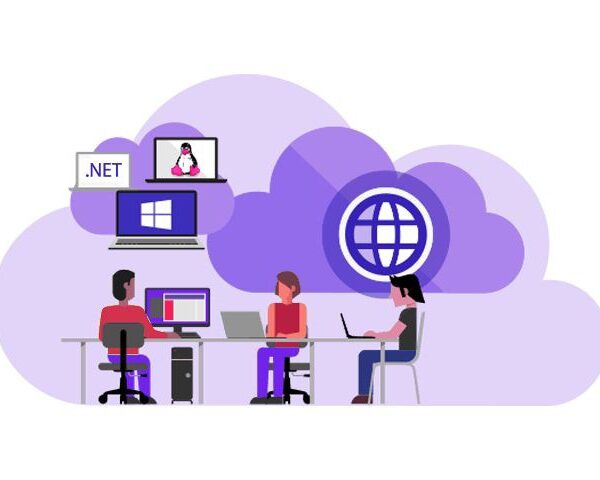 The Growing Talent Pool of .NET Developers in India