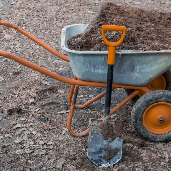 Transform Your Landscape with Fill Dirt Projects You Can Start Today