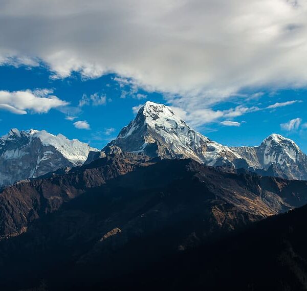 Himalayan Resting Place