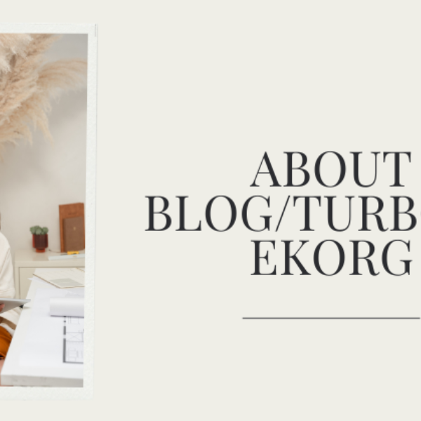 About Blog/Turbogeekorg