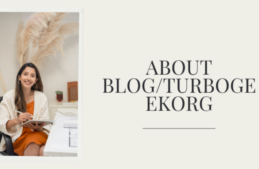 About Blog/Turbogeekorg