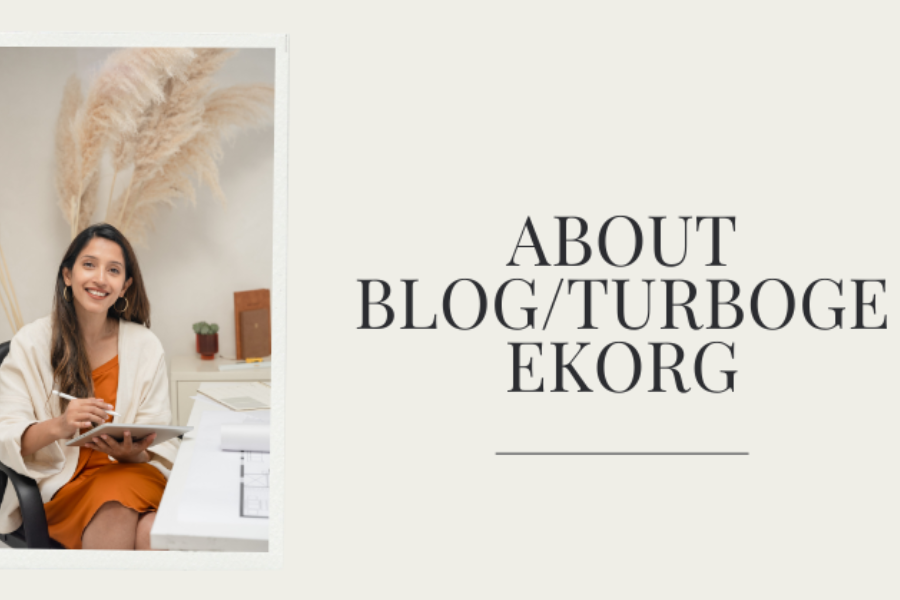 About Blog/Turbogeekorg