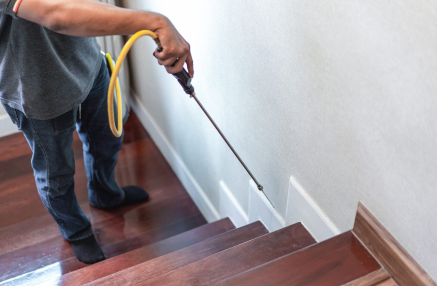 A New Homeowner’s Guide to Pest Control in Simi Valley and Woodland Hills