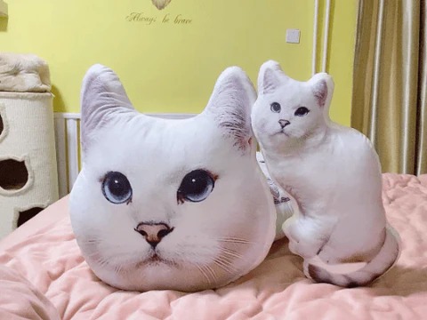 Personalized Comfort: The Joy of Custom Cat Pillows