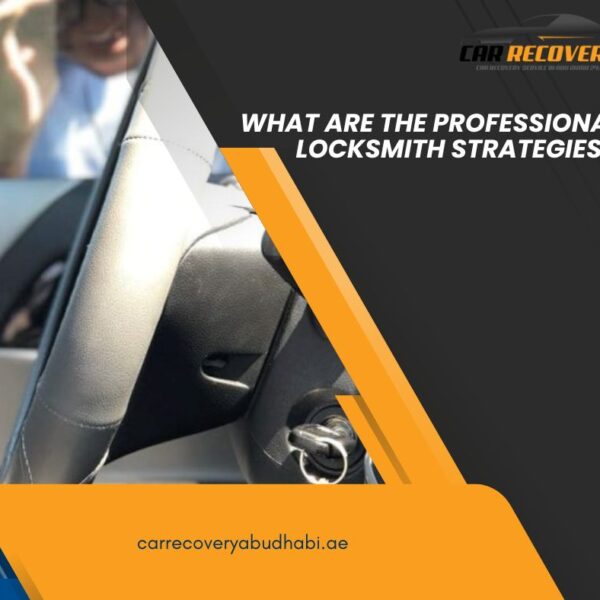 What Are The Professional Locksmith Strategies? 