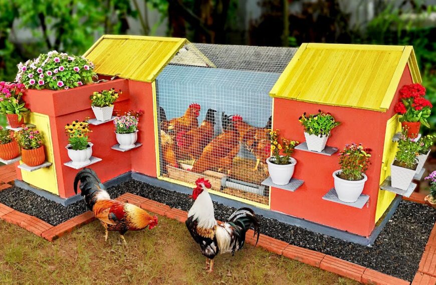 My Journey from Idea to Actualization of My Chicken Coop