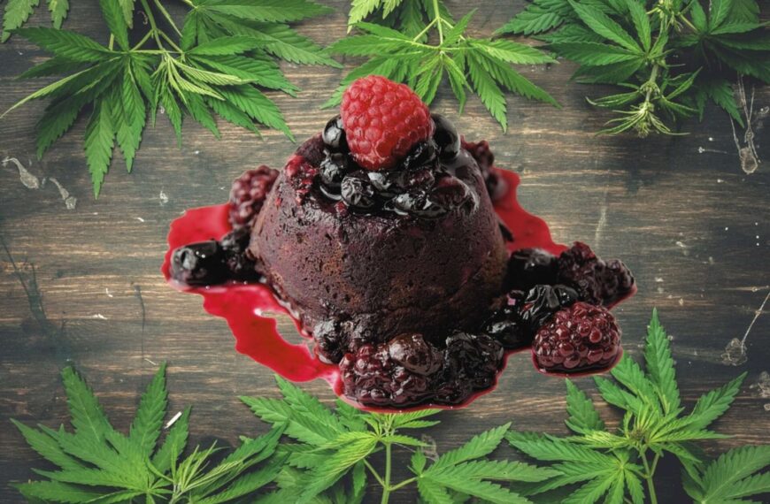 Discovering the Lava Cake Strain: A Sensory Delight