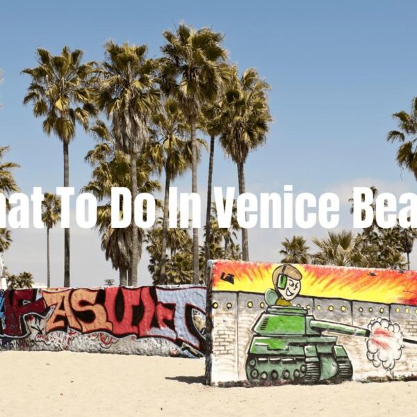 What to Do in Venice Beach: 5 Things You Can’t Skip