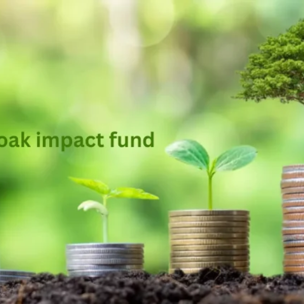 White Oak Impact Fund: A Comprehensive Approach to Impact Investing