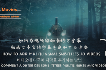 Multilingual Subtitles