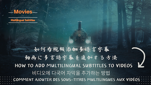 Multilingual Subtitles