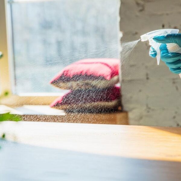 Expert – Approved Dusting Techniques: 20 Professional Tips for a Spotless Home