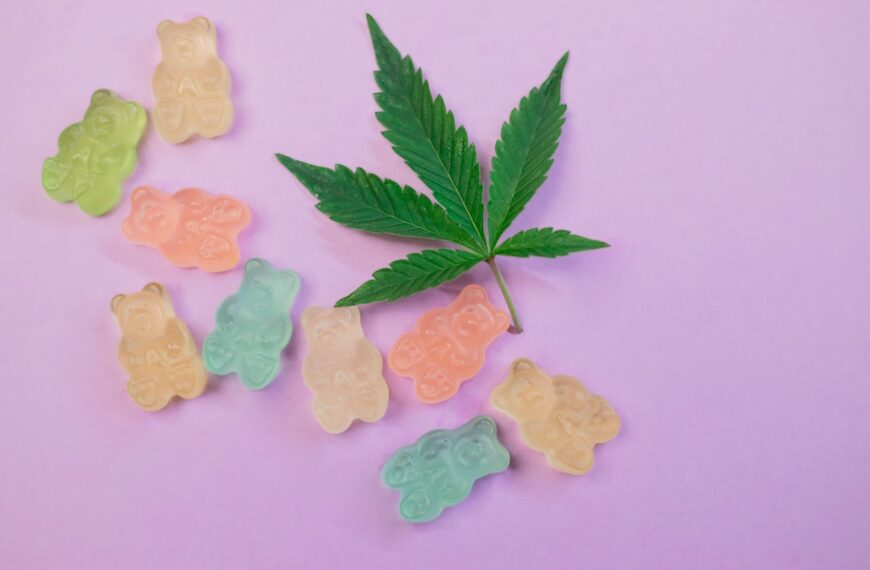 The Ultimate Guide to THC Gummies: A Sweet Journey into Relaxation