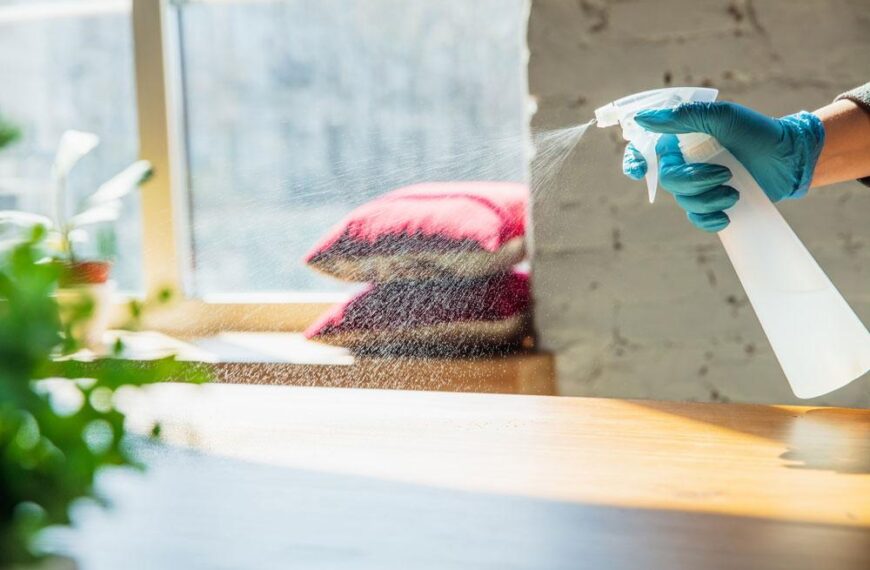 Expert – Approved Dusting Techniques: 20 Professional Tips for a Spotless Home