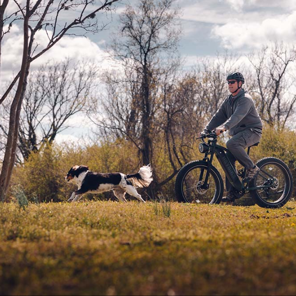 Electric Bike