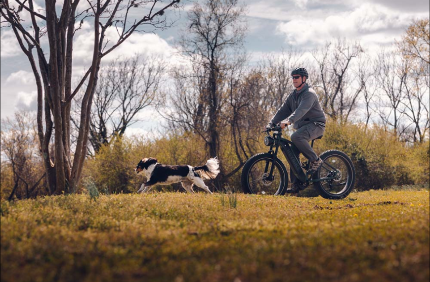 Riding Through the Seasons: My Year on an Electric Bike