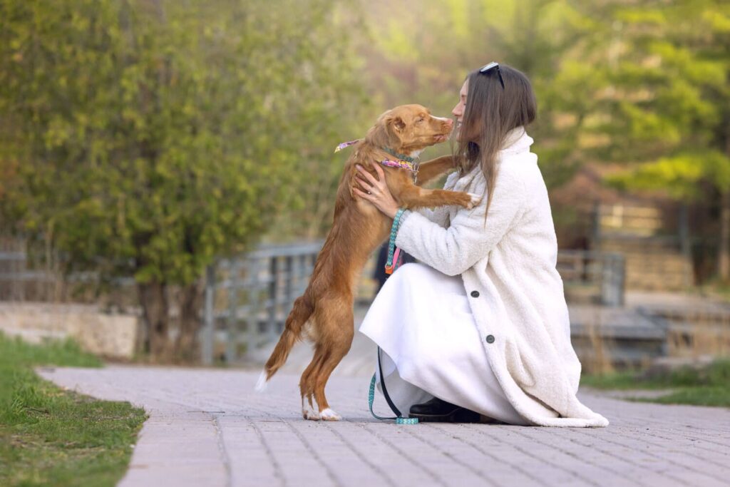 Pet Memorial