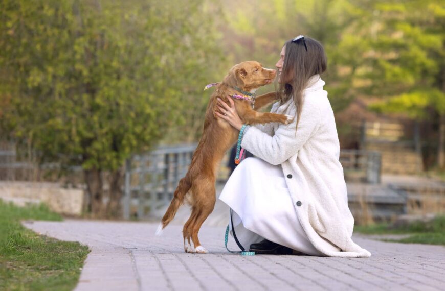 How Pet Memorial Fashion is Celebrating the Diversity of Our Animal Companions
