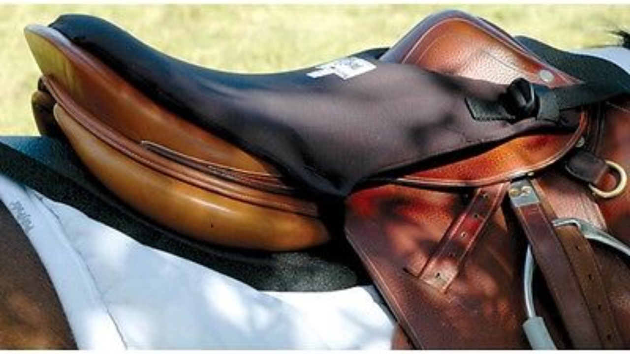 Important for Horse and Rider Comfort How to Properly Position and Secure a Saddle Cushion