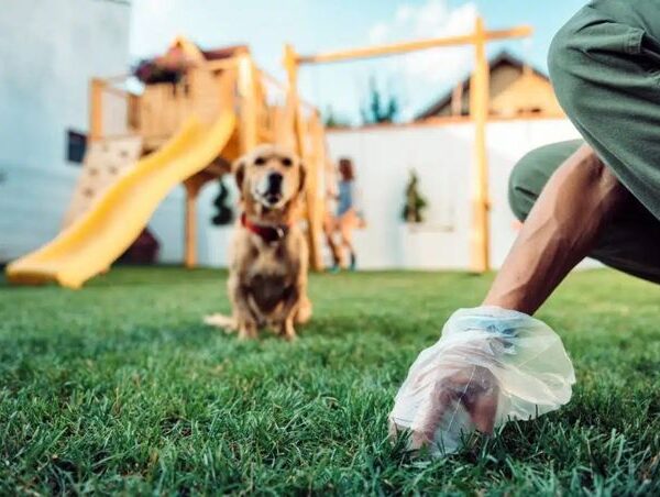5 Reasons to Hire a Pooper Scooper in Tucson for a Clean and Healthy Backyard