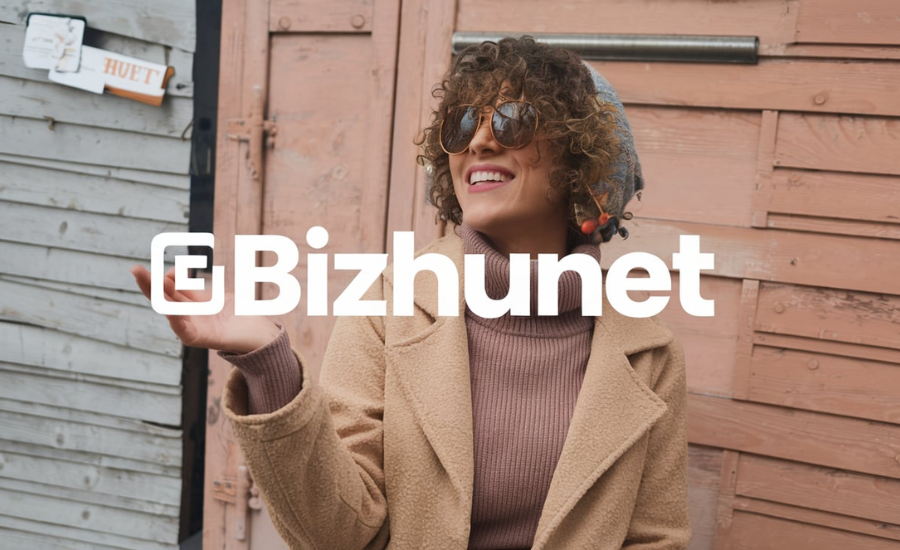 bizhunet