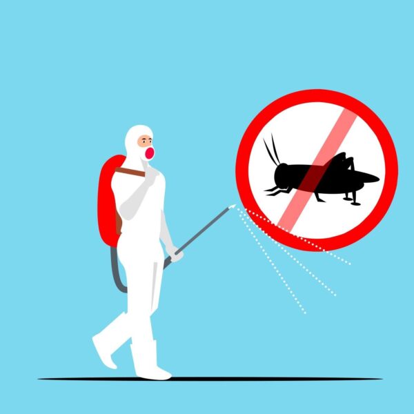 6 Signs You Need Emergency Pest Control Services Immediately