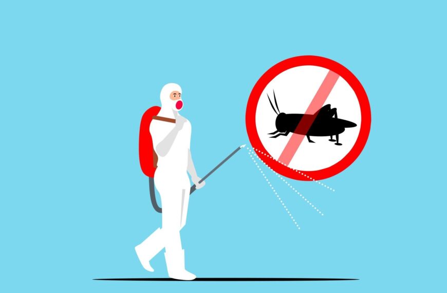 6 Signs You Need Emergency Pest Control Services Immediately