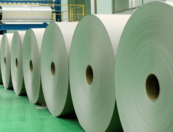 Why Thermal Paper Rolls Manufacturer Use Sustainable Materials